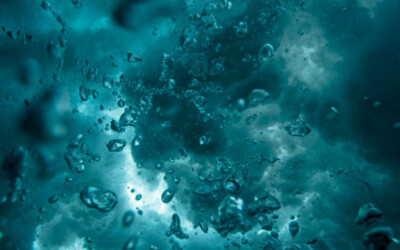 Hidrofobia: ¿Cómo vencer el miedo al agua?