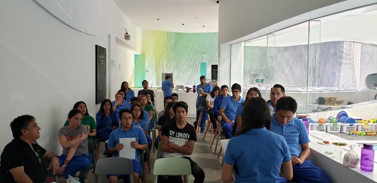 Capacitación para cursos de bebés